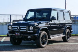 Mercedes Benz G Class (N.8525)